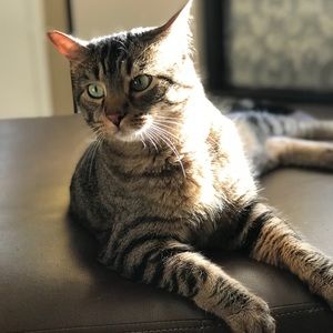 Meet your Posher, Claire